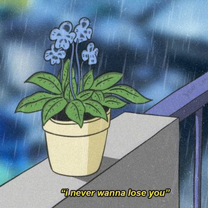 瓜老师の吃瓜日记账号密码
