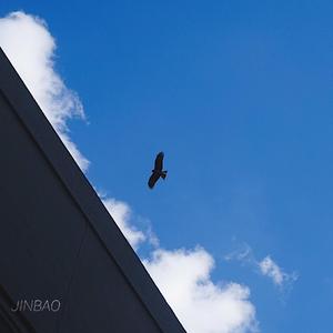 瓜老师の吃瓜日记账号密码
